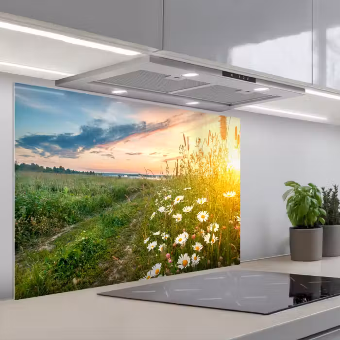 Spatscherm keuken - Bloemen - Madelief - Natuur - Zon - Horizon