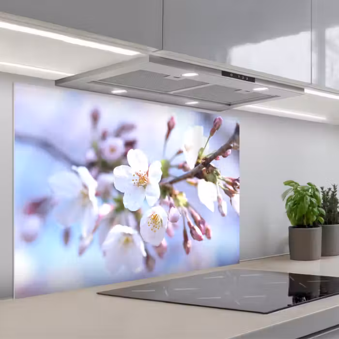 Spatscherm keuken - Bloemen - Sakura - Tak - Bloesem takken