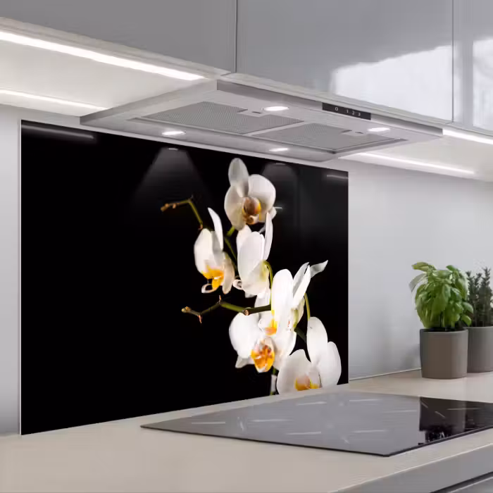 Spatscherm keuken - Contrastrijke Orchideeën