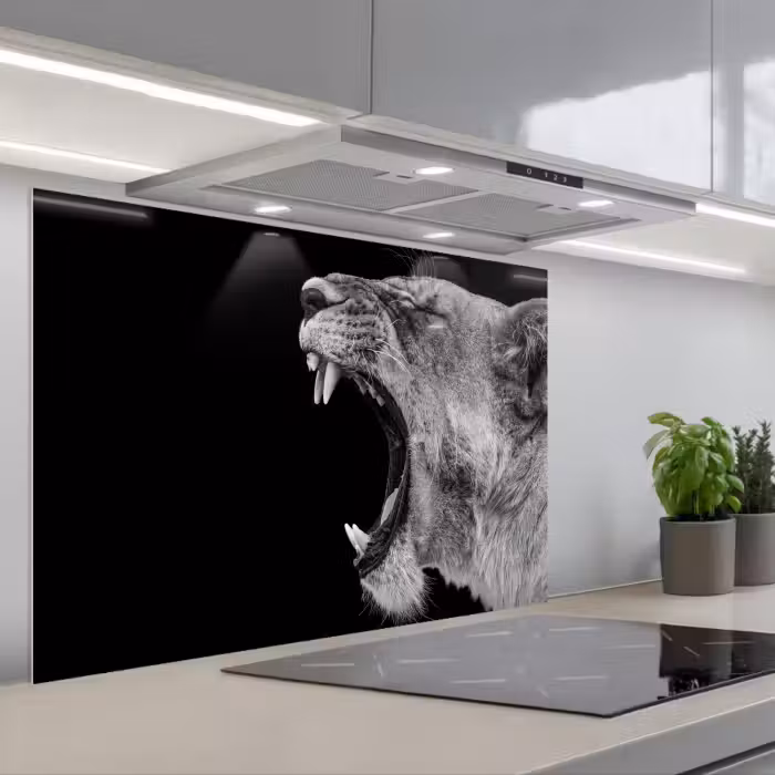 Spatscherm keuken - Dieren - Leeuw - Zwart - Wit - Portret