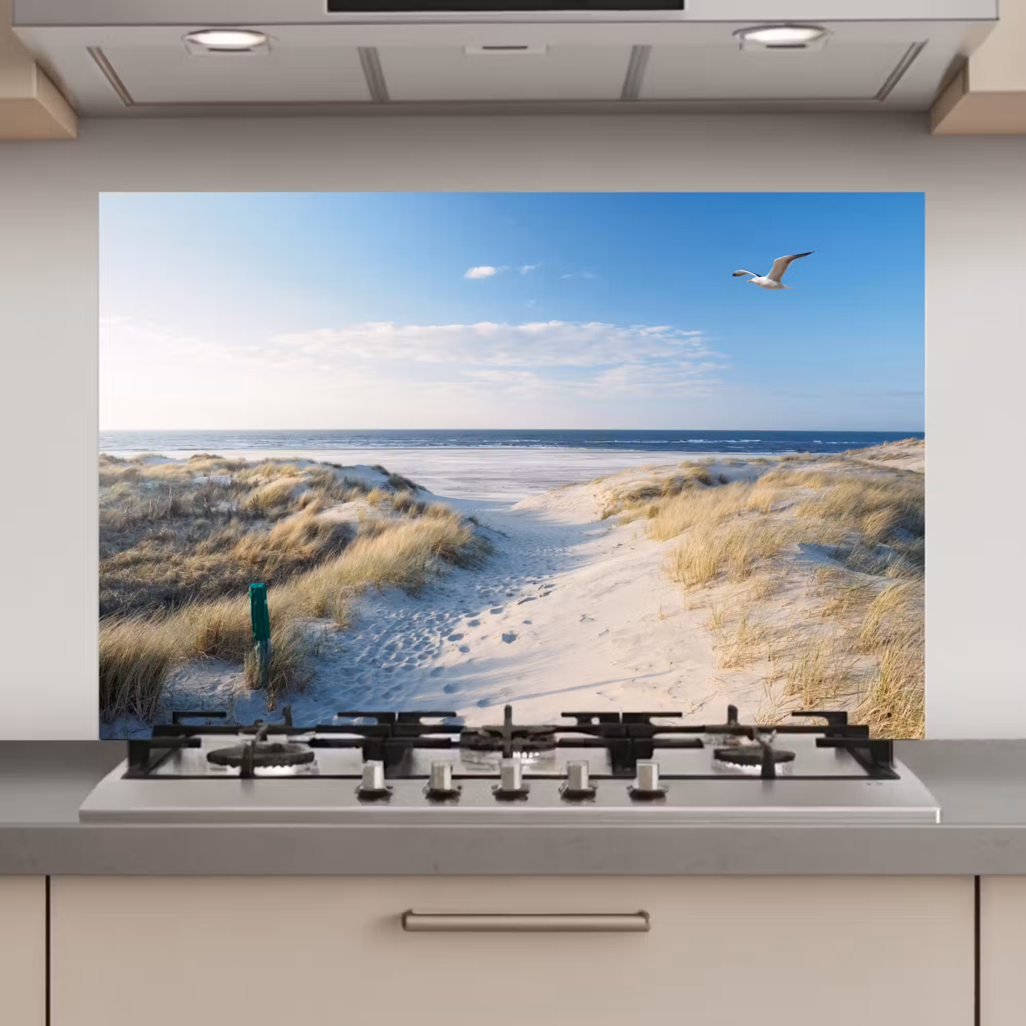Spatscherm keuken - Duin - Meeuw - Strand - Zee - Zon