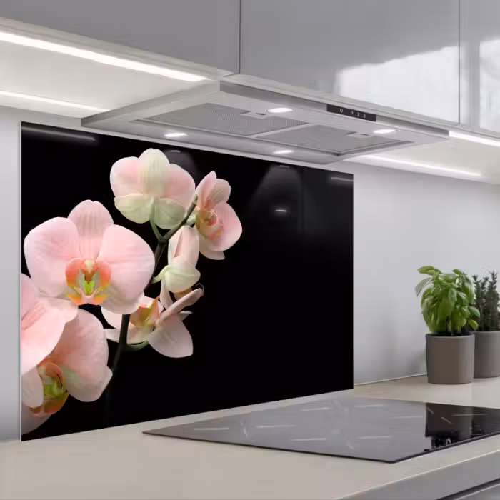 Spatscherm keuken - Orchidee - Bloemen - Roze - Stilleven - Flora