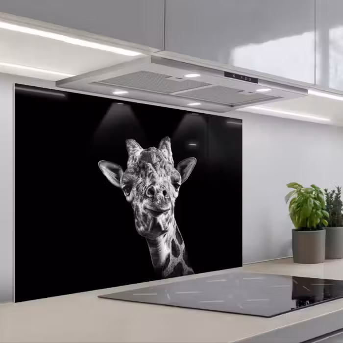 Spatscherm keuken - Giraffe - Dier - Zwart - Wit
