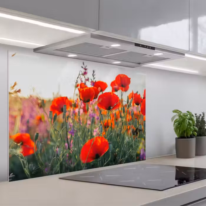 Spatscherm keuken - Klaproos - Bloemen - Rood - Paars - Weide