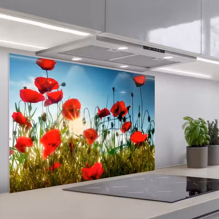 Spatscherm keuken - Klaprozen - Toscane - Zon - Rood - Blauw