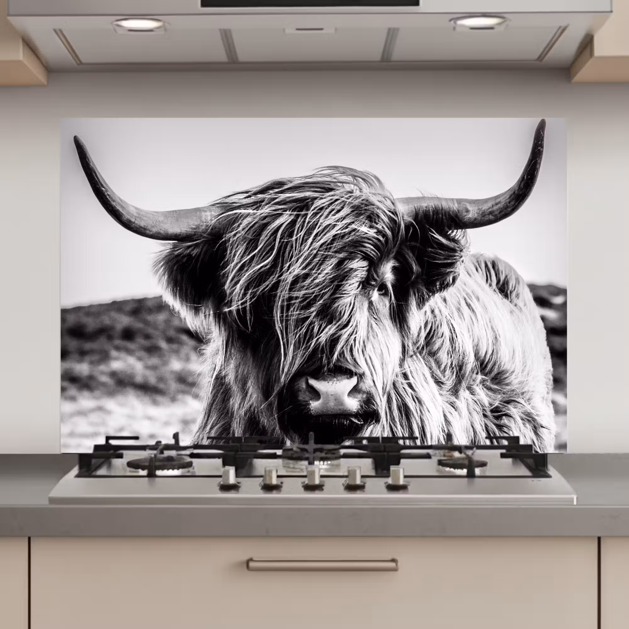 Spatscherm keuken - Koe - Schotse hooglander - Zwart - Wit - Dier - Natuur - Wild