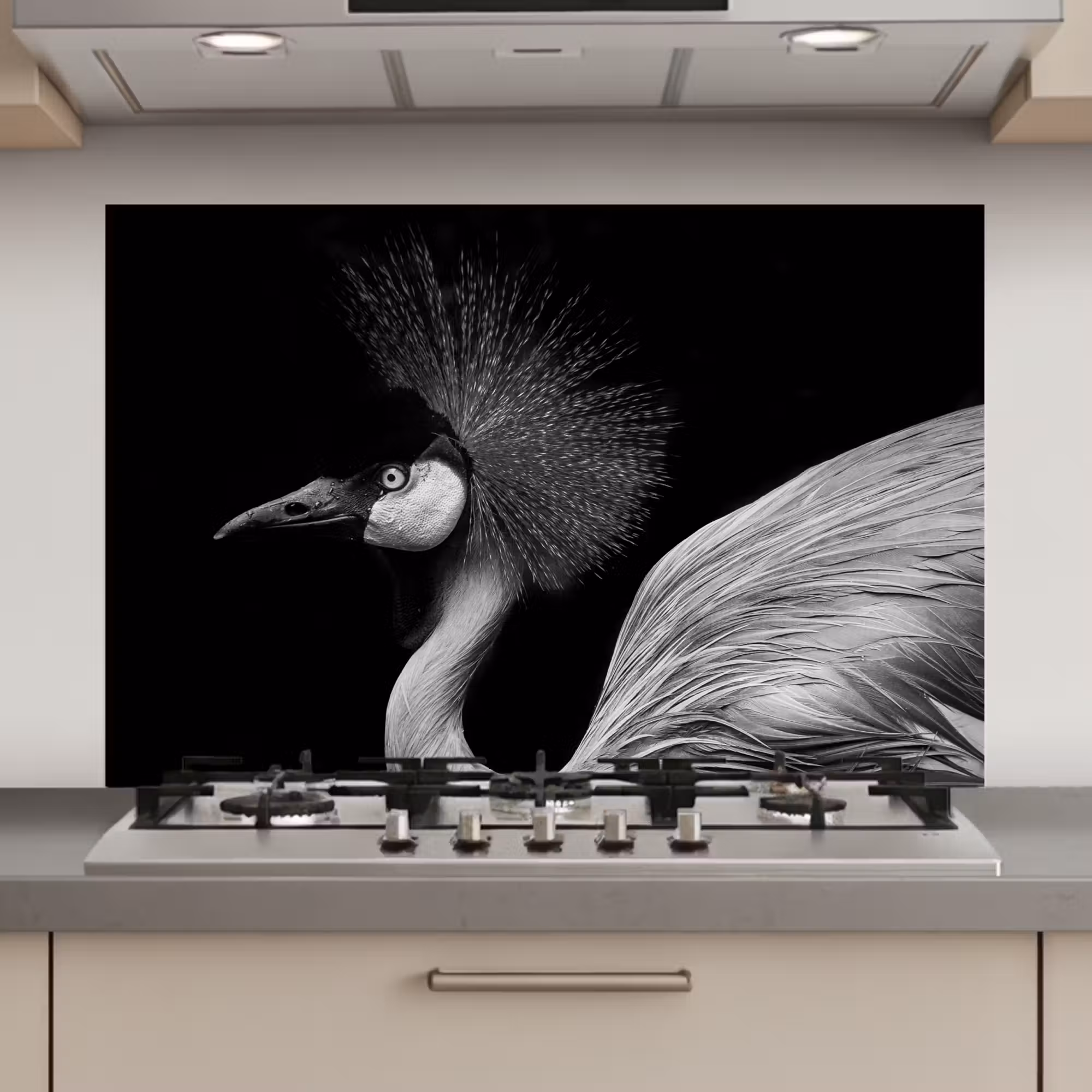 Spatscherm keuken - Kraanvogel - Zwart - Wit - Vogel - Dieren