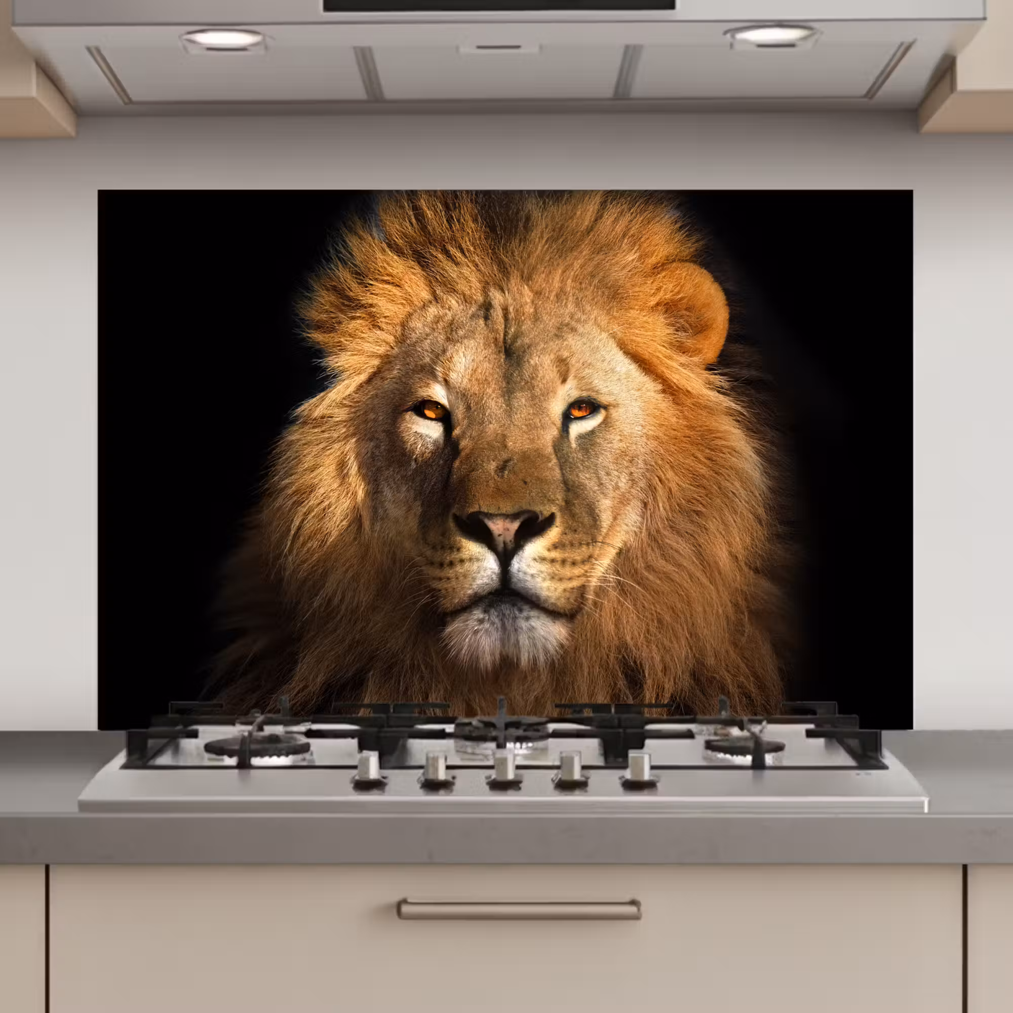 Spatscherm keuken - Leeuw - Dieren - Zwart - Licht - Bruin - Portret