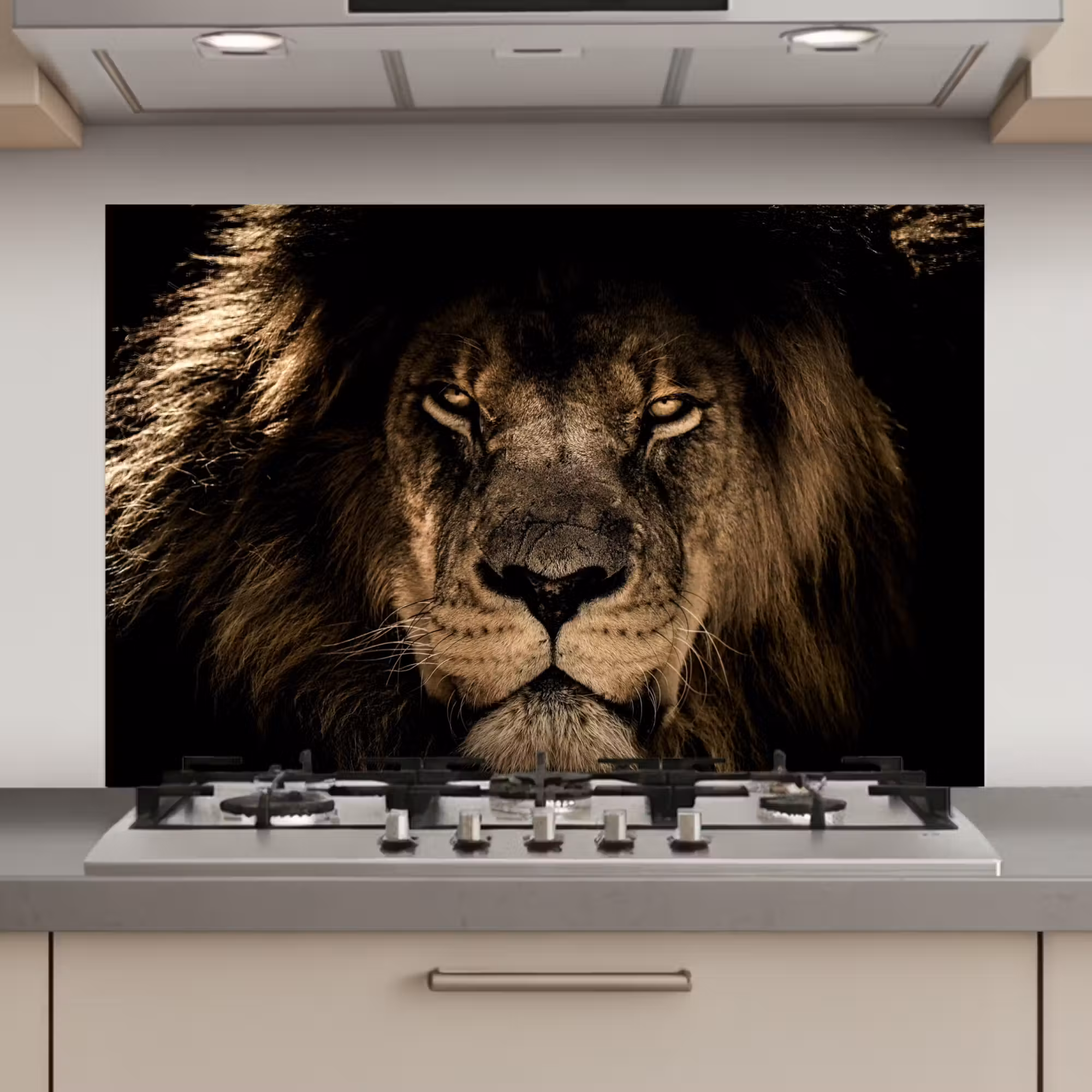 Spatscherm keuken - Leeuw - Dieren - Zwart - Portret