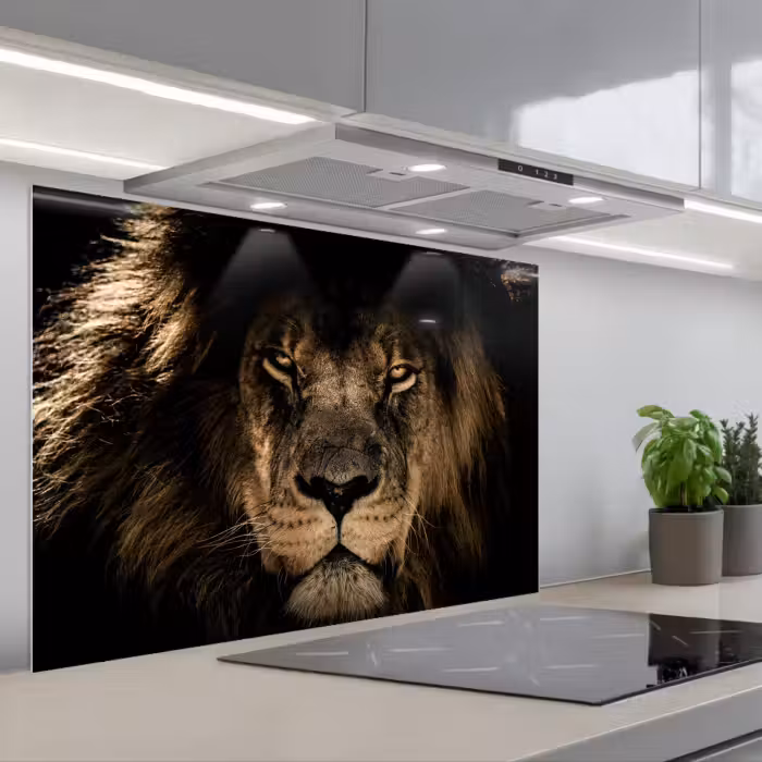 Spatscherm keuken - Leeuw - Dieren - Zwart - Portret