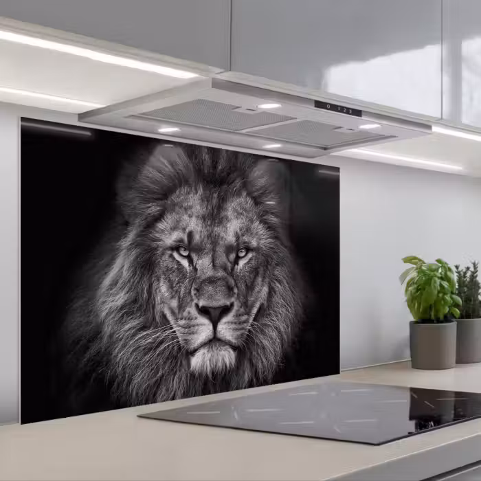 Spatscherm keuken - Leeuw - Dieren - Zwart - Wit