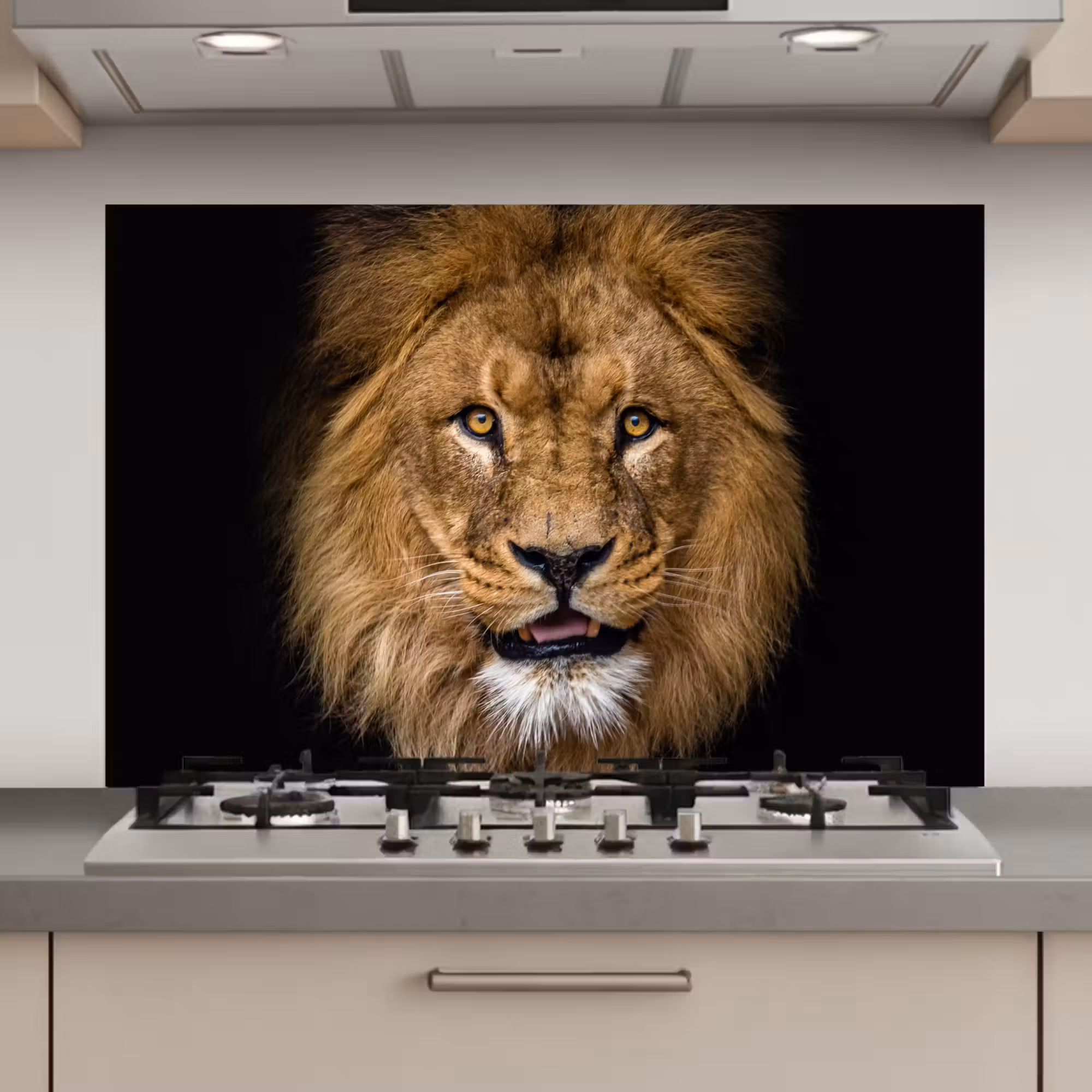 Spatscherm keuken - Leeuw - Portret - Zwart - Dieren