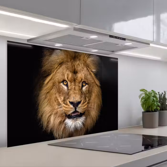 Spatscherm keuken - Leeuw - Portret - Zwart - Dieren