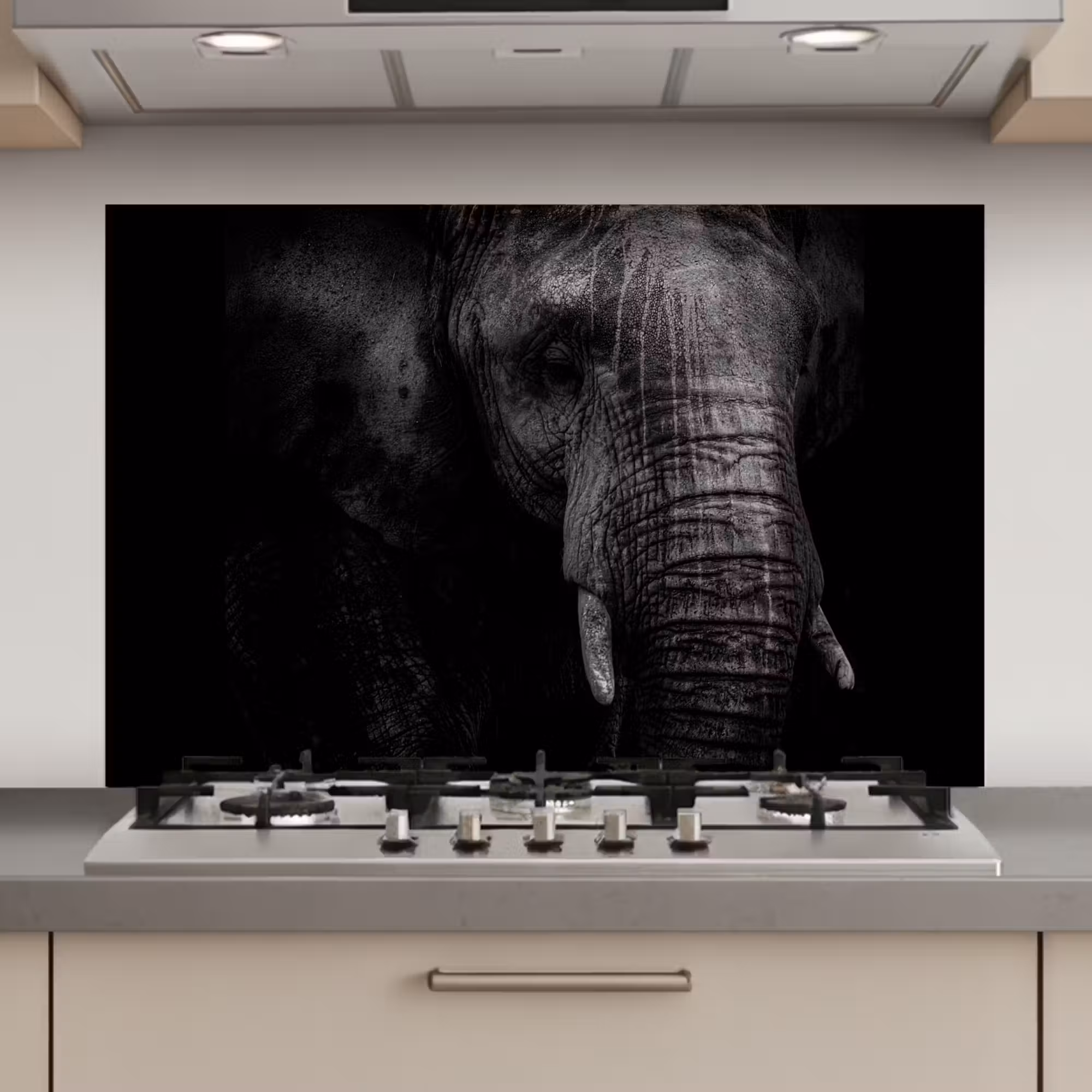 Spatscherm keuken - Olifant - Dier - Portret