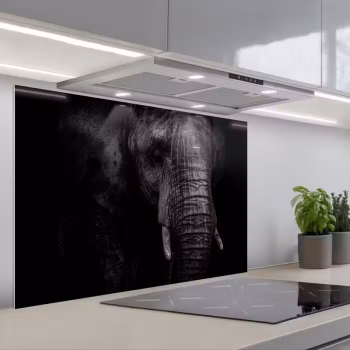 Spatscherm keuken - Olifant - Dier - Portret