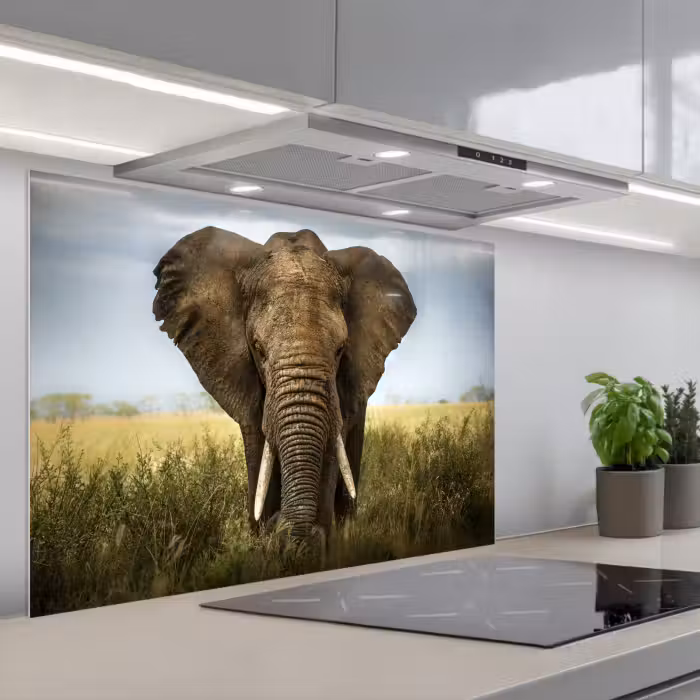 Spatscherm keuken - Olifant - Natuur - Gras - Dieren - Landschap