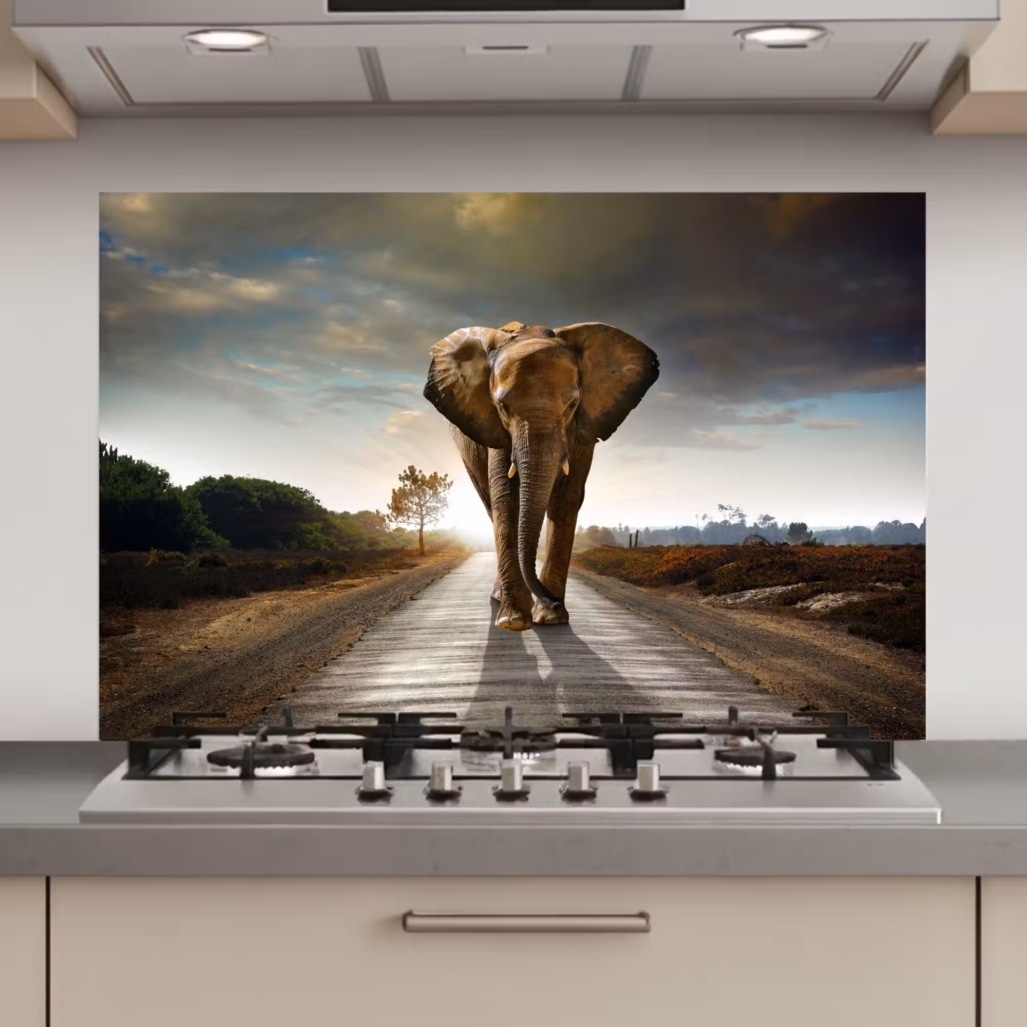 Spatscherm keuken - Olifant - Weg - Dieren - Zonsondergang - Landschap