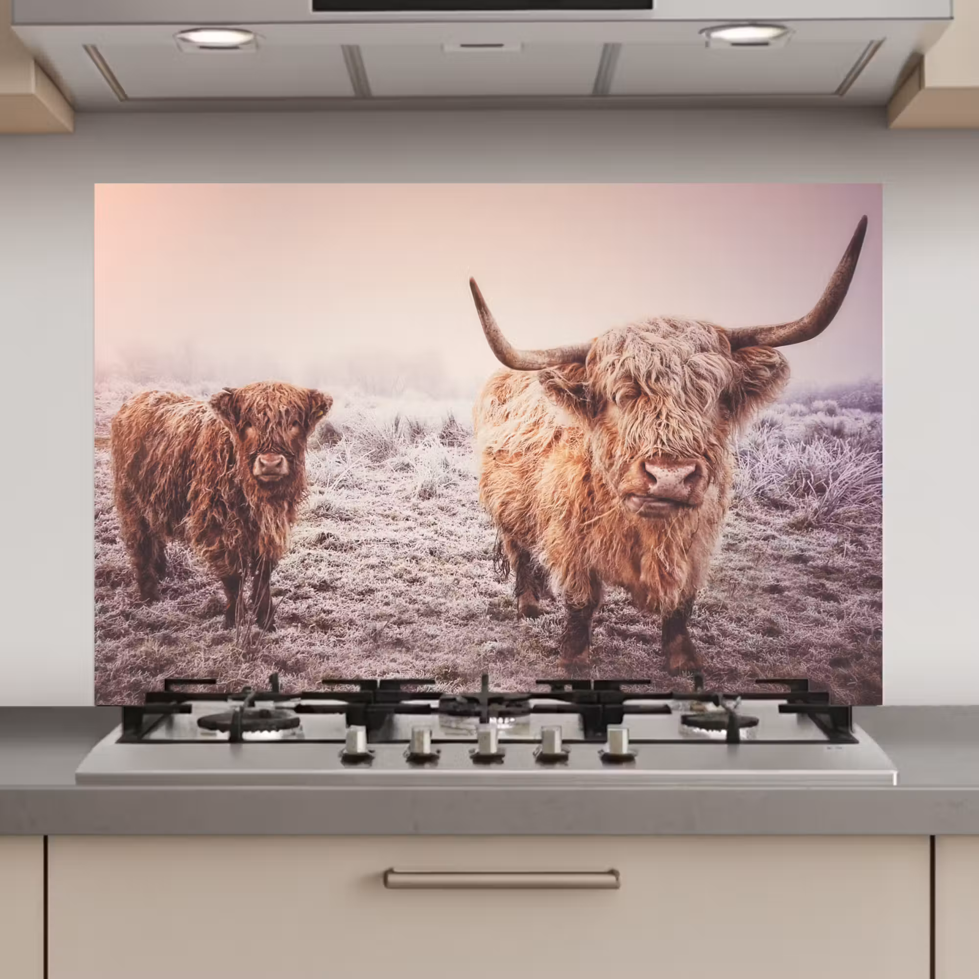 Spatscherm keuken - Schotse Hooglanders - Sneeuw - Zon