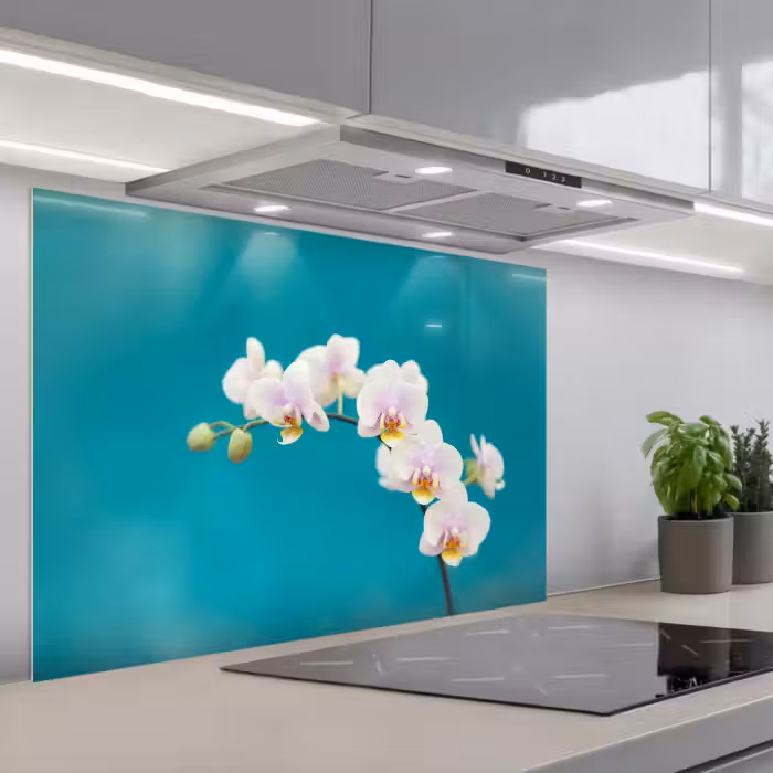 Spatscherm keuken - Orchidee - Bloemen - Plant - Wit - Paars