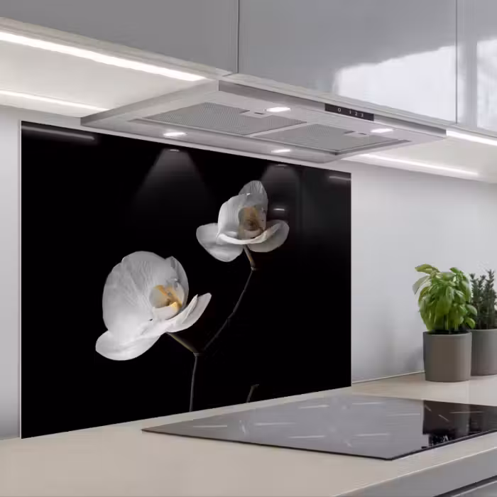 Spatscherm keuken - Orchidee - Bloemen - Zwart - Wit - Stilleven