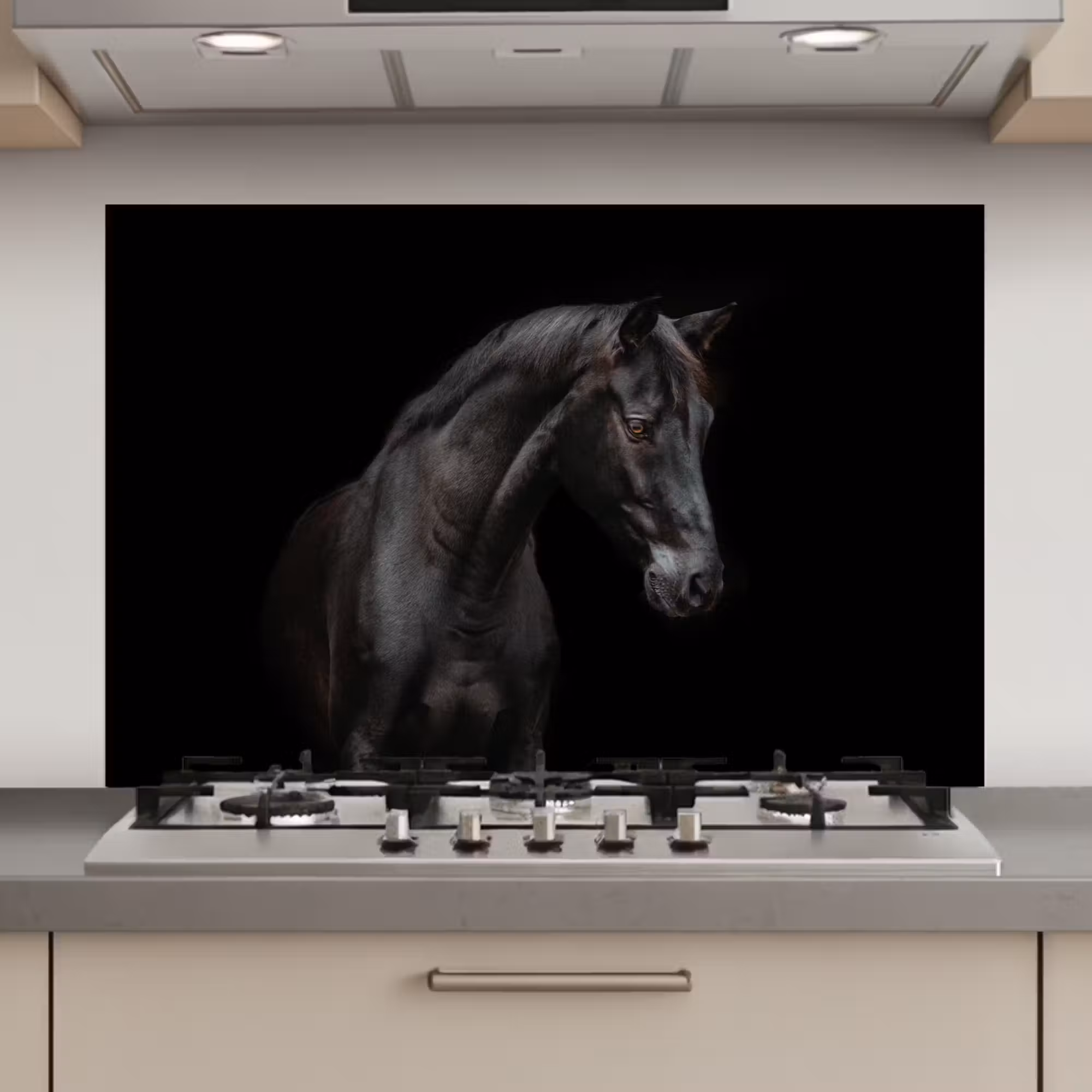 Spatscherm keuken - Paard - Dieren - Zwart - Portret