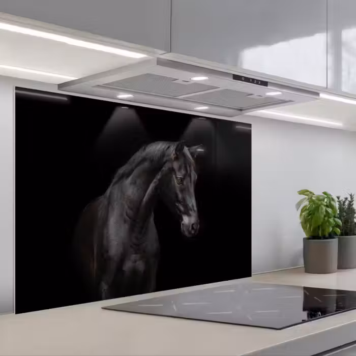 Spatscherm keuken - Paard - Dieren - Zwart - Portret