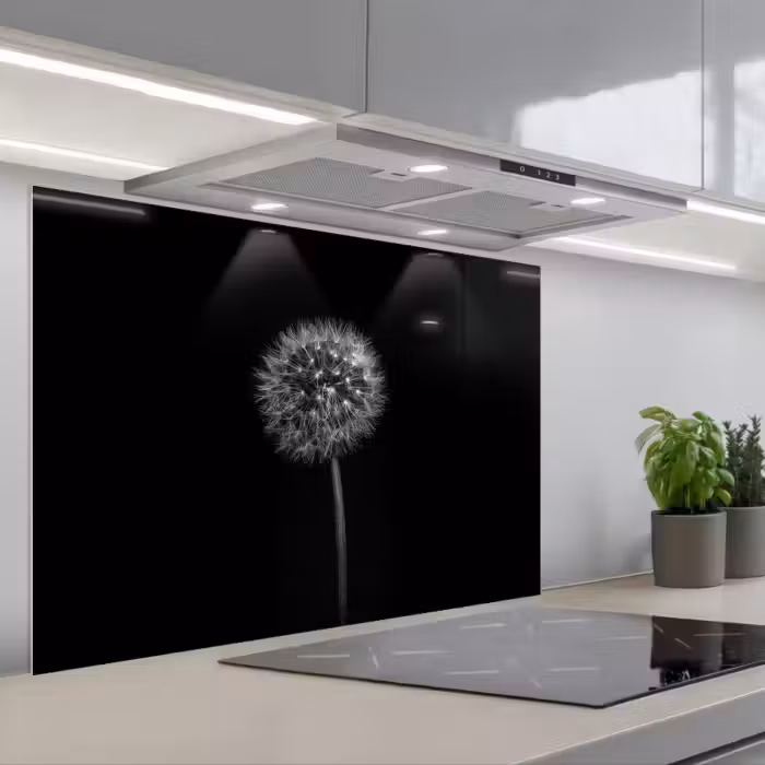 Spatscherm keuken - Paardenbloem - Zwart - Bloemen - Botanisch