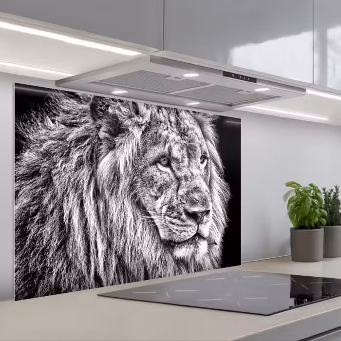 Spatscherm keuken - Portret - Leeuw - Zwart wit