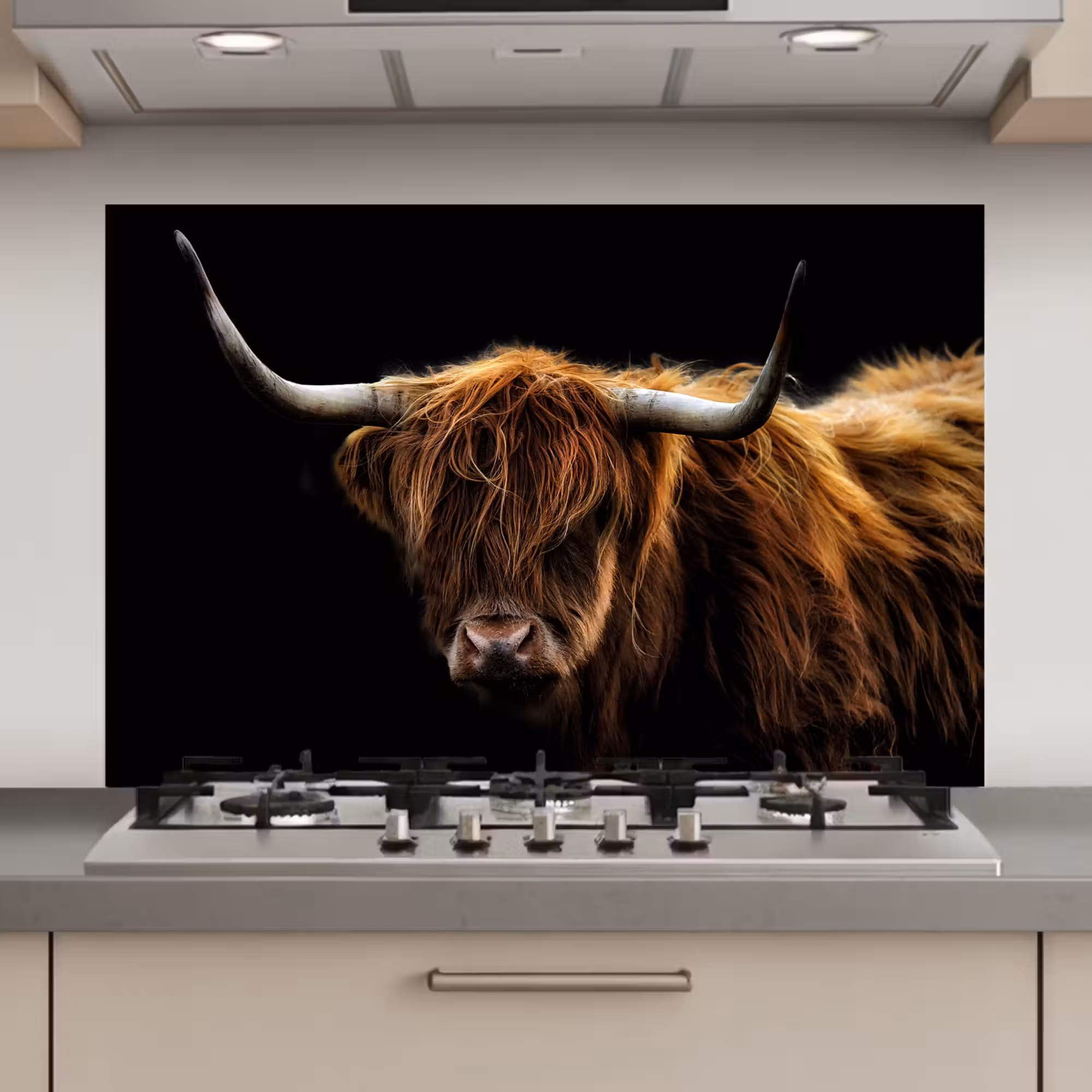 Spatscherm keuken - Schotse Hooglander - Horens - Zwart - Dieren - Natuur - Wild - Koe