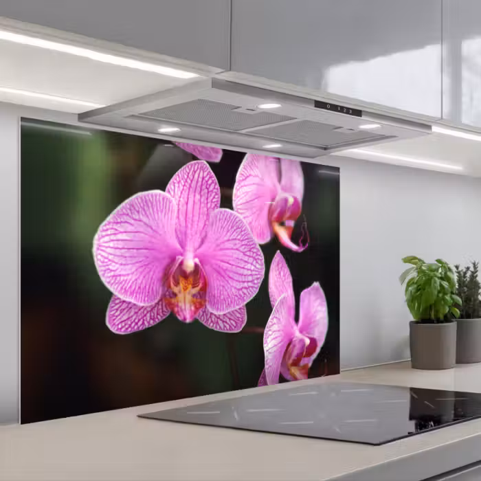 Spatscherm keuken - Roze orchidee