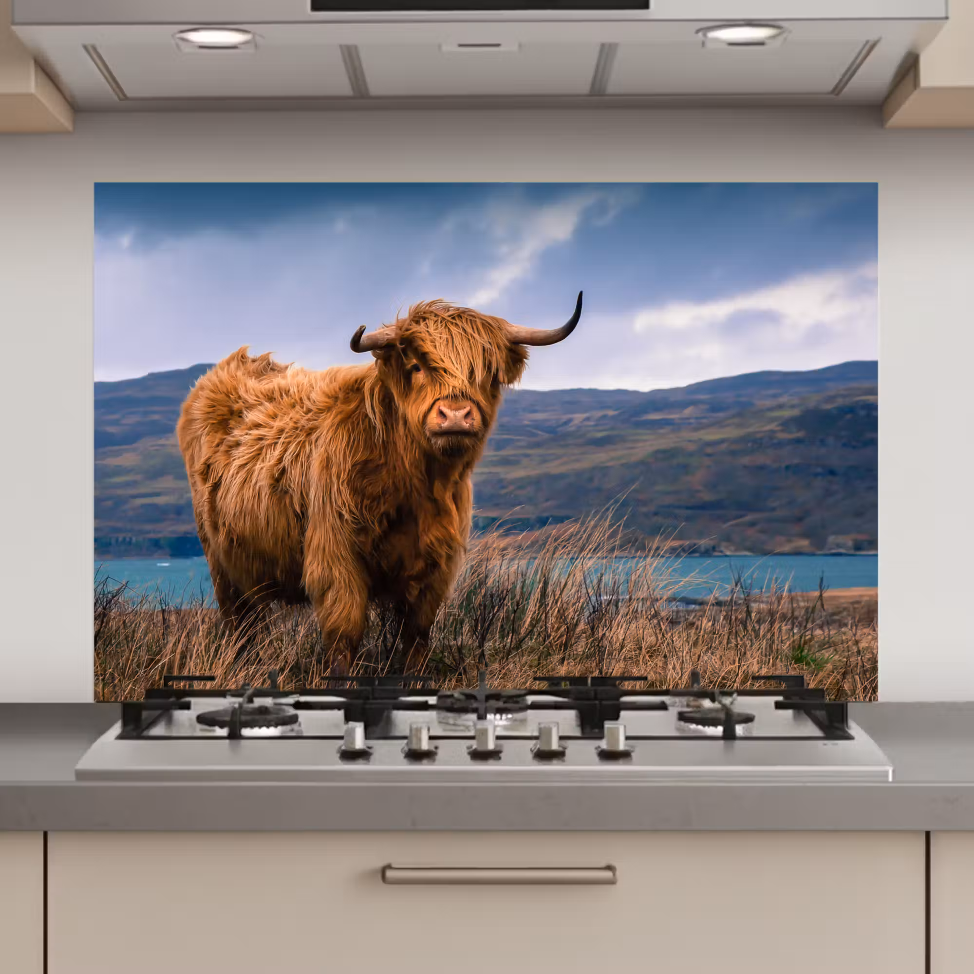Spatscherm keuken - Schotse Hooglander - Berg - Water - Natuur - Koe