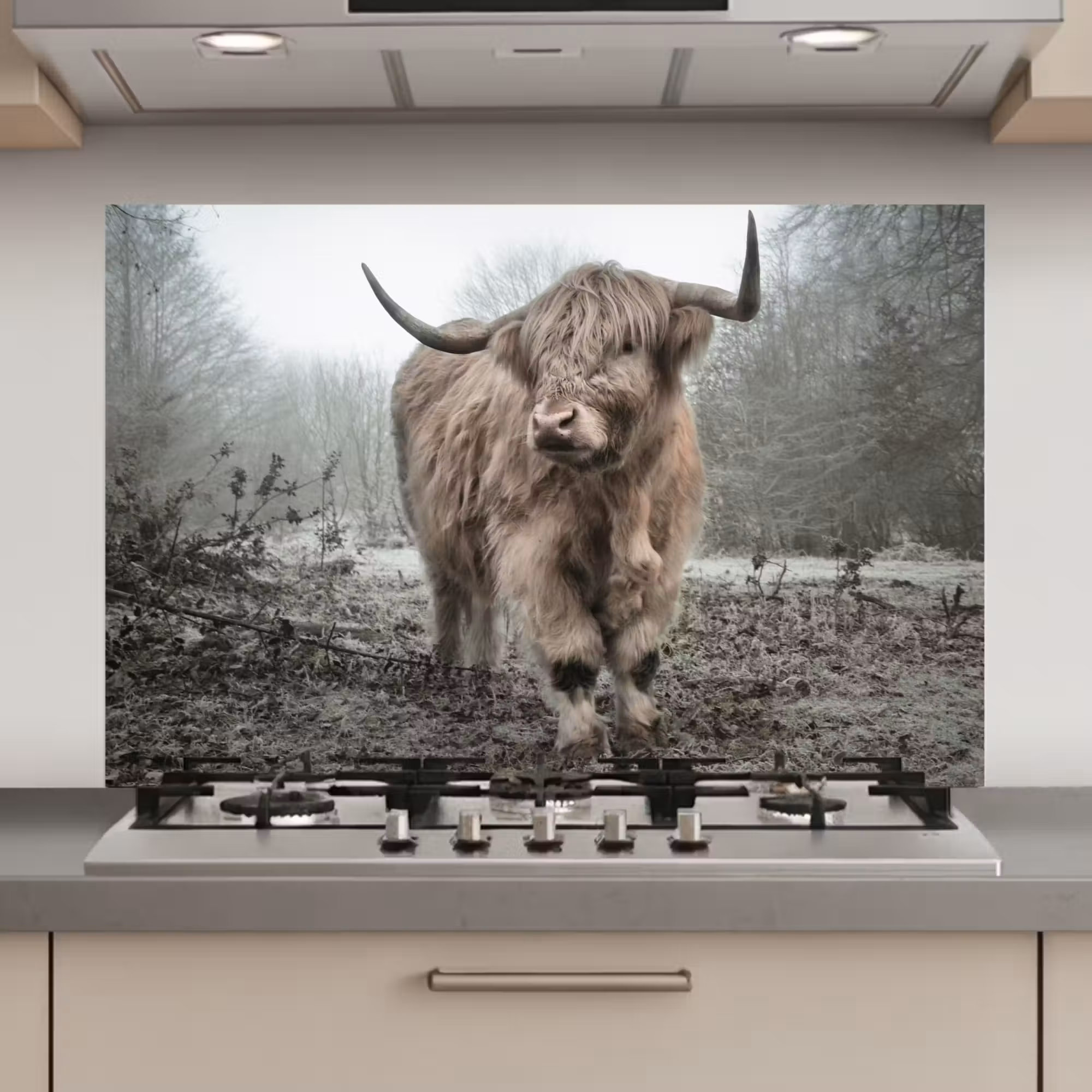 Spatscherm keuken - Schotse Hooglander - Bos - Mist - Koe - Dieren - Natuur