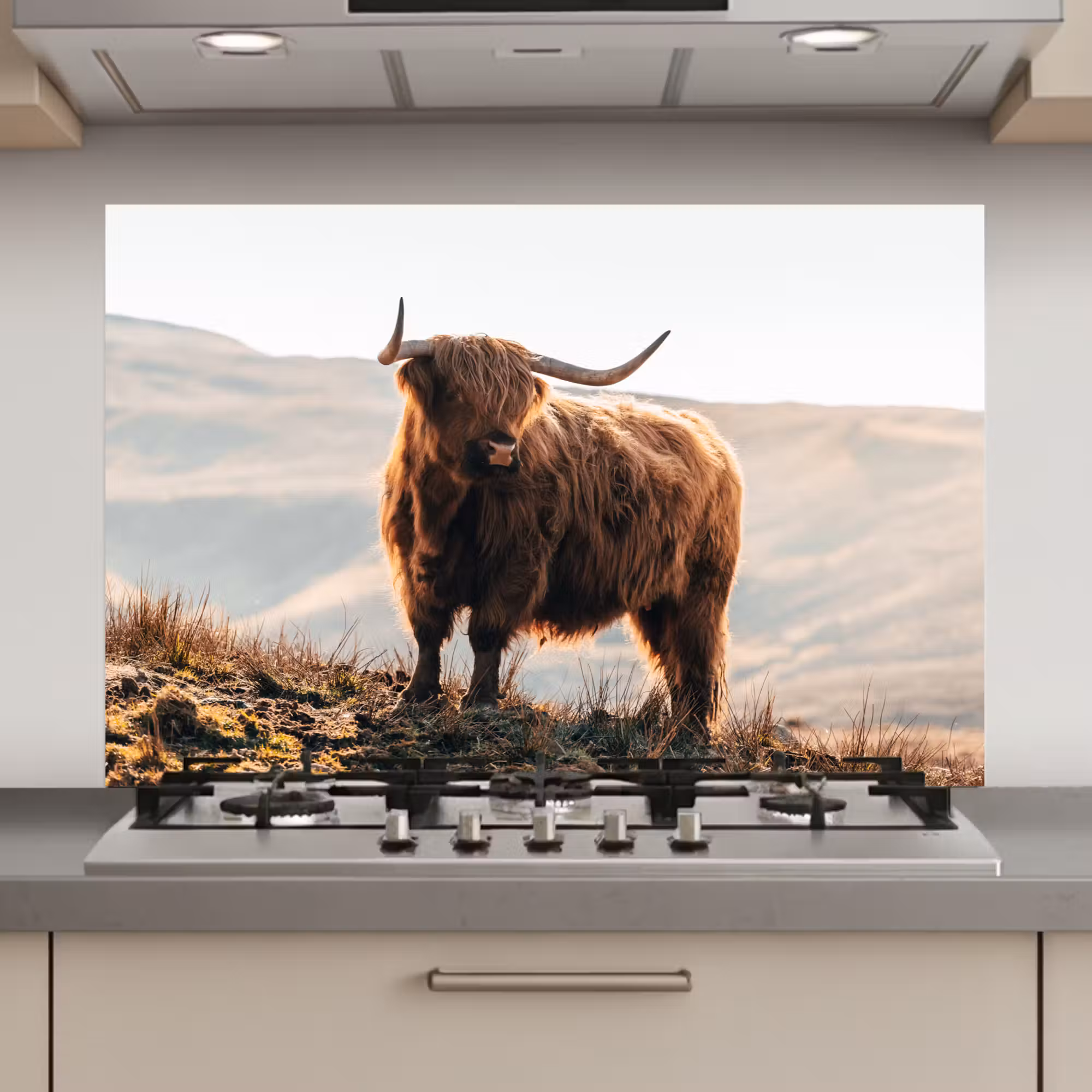 Spatscherm keuken - Schotse hooglander - Dieren - Landelijk - Landschap - Koe - Natuur