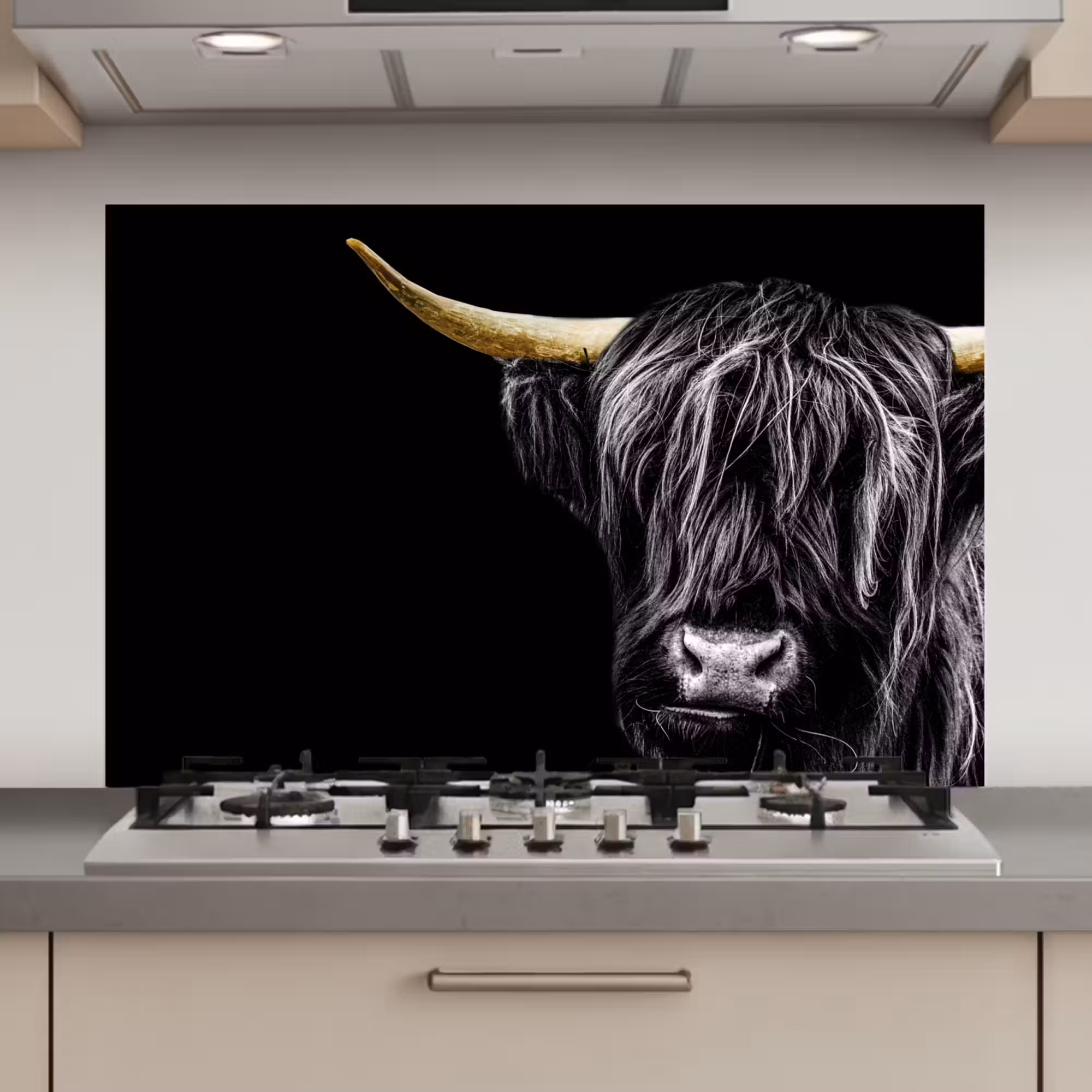 Spatscherm keuken - Schotse hooglander - Goud - Vacht - Dieren - Koe