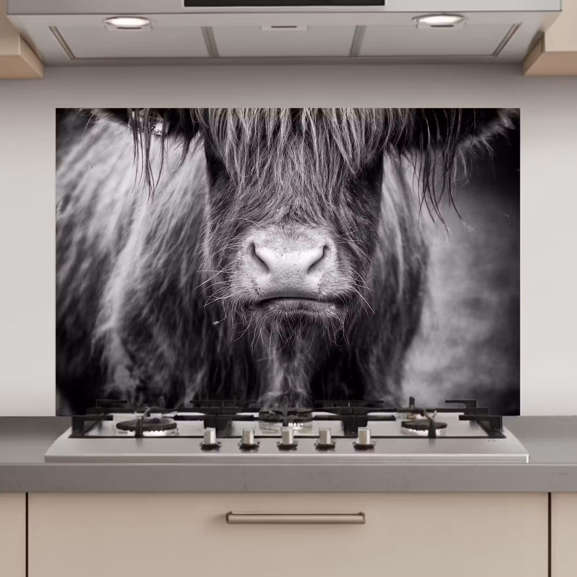 Spatscherm keuken - Schotse hooglander - Koe - Zwart - Wit - Dieren