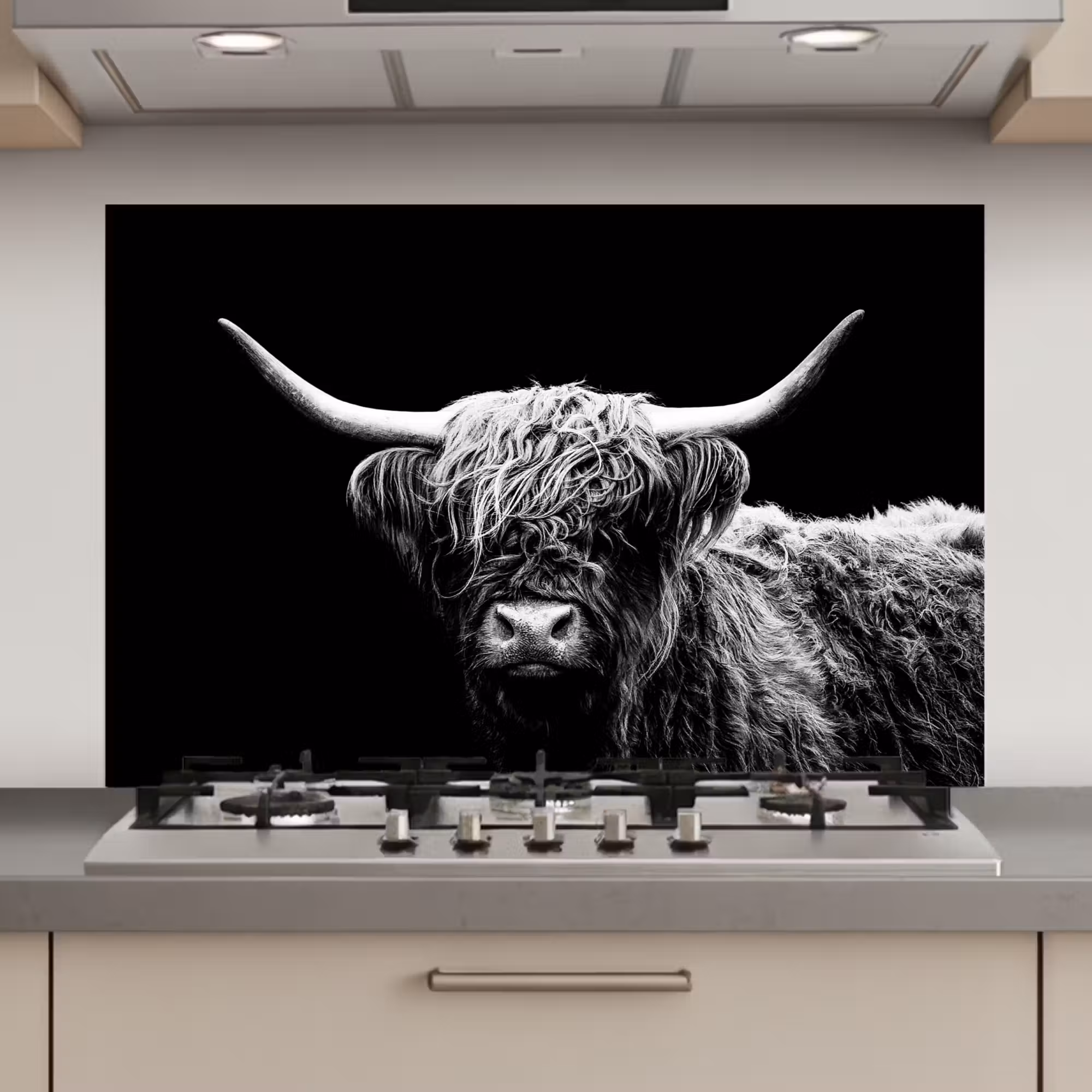 Spatscherm keuken - Schotse Hooglander - Koe - Zwart - Wit - Dieren
