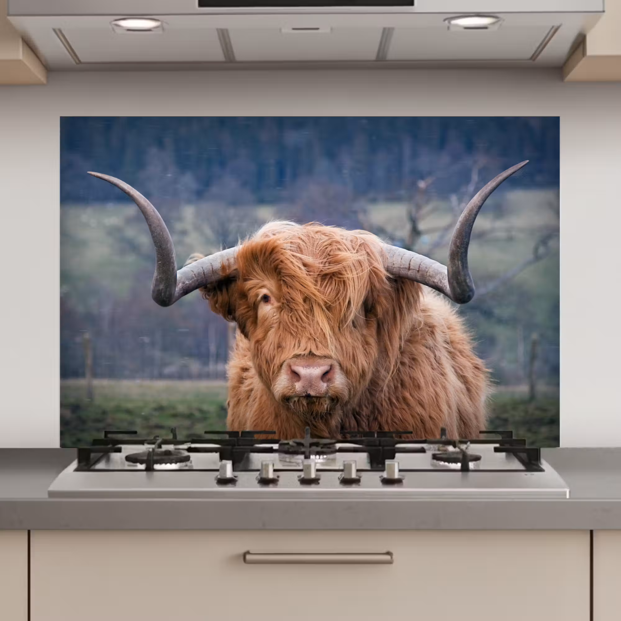 Spatscherm keuken - Schotse Hooglander - Koeienkop - Landschap - Natuur - Koe