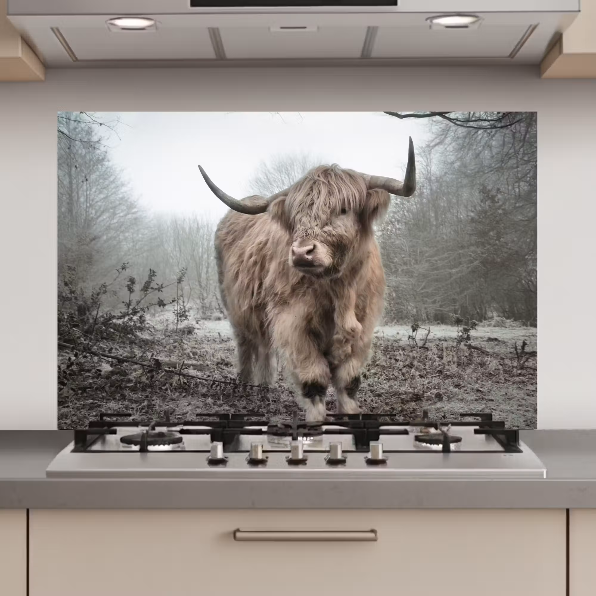 Spatscherm keuken - Schotse hooglander - Natuur - Herfst - Dieren - Wild - Bos
