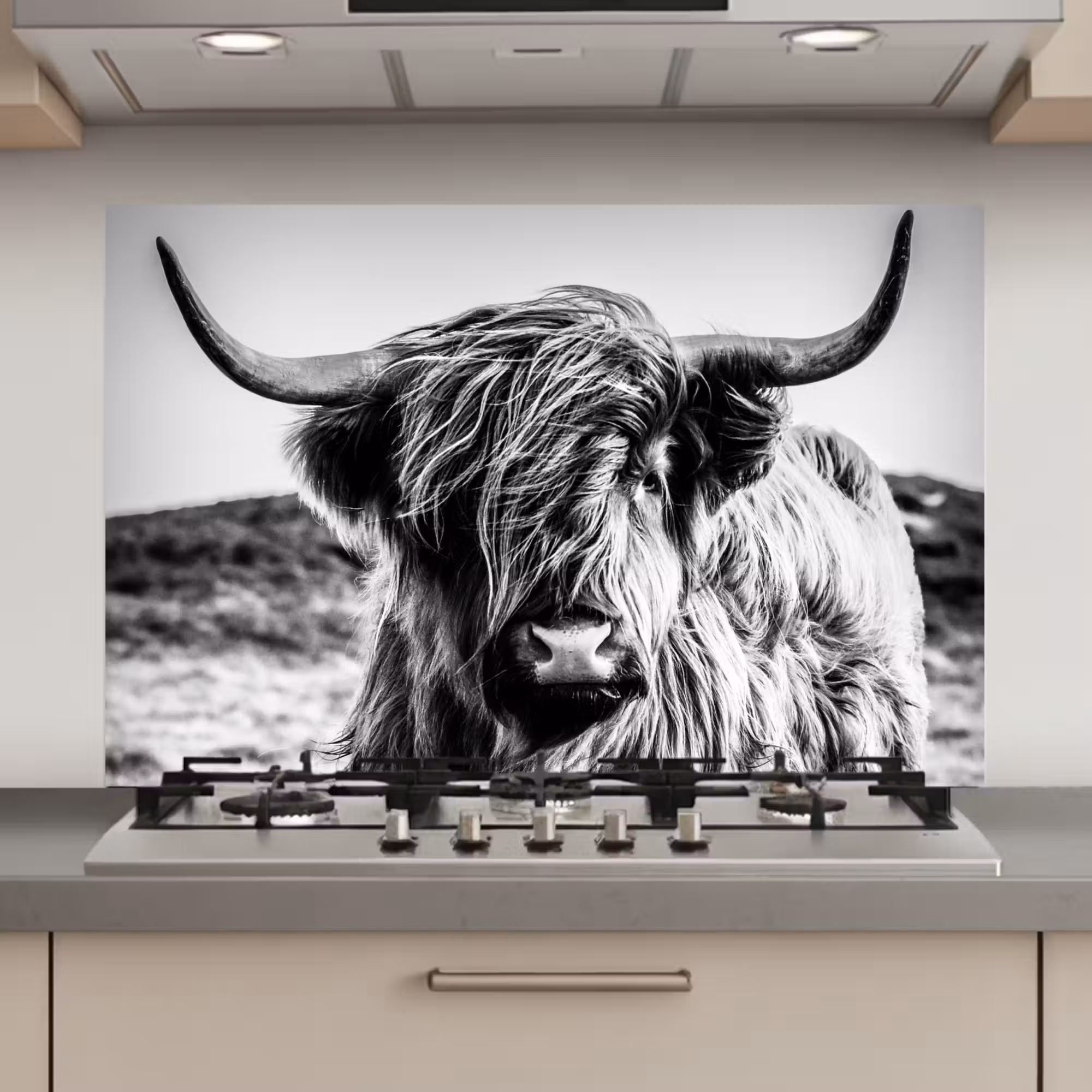Spatscherm keuken - Schotse hooglander - Natuur - Koe - Zwart - Wit