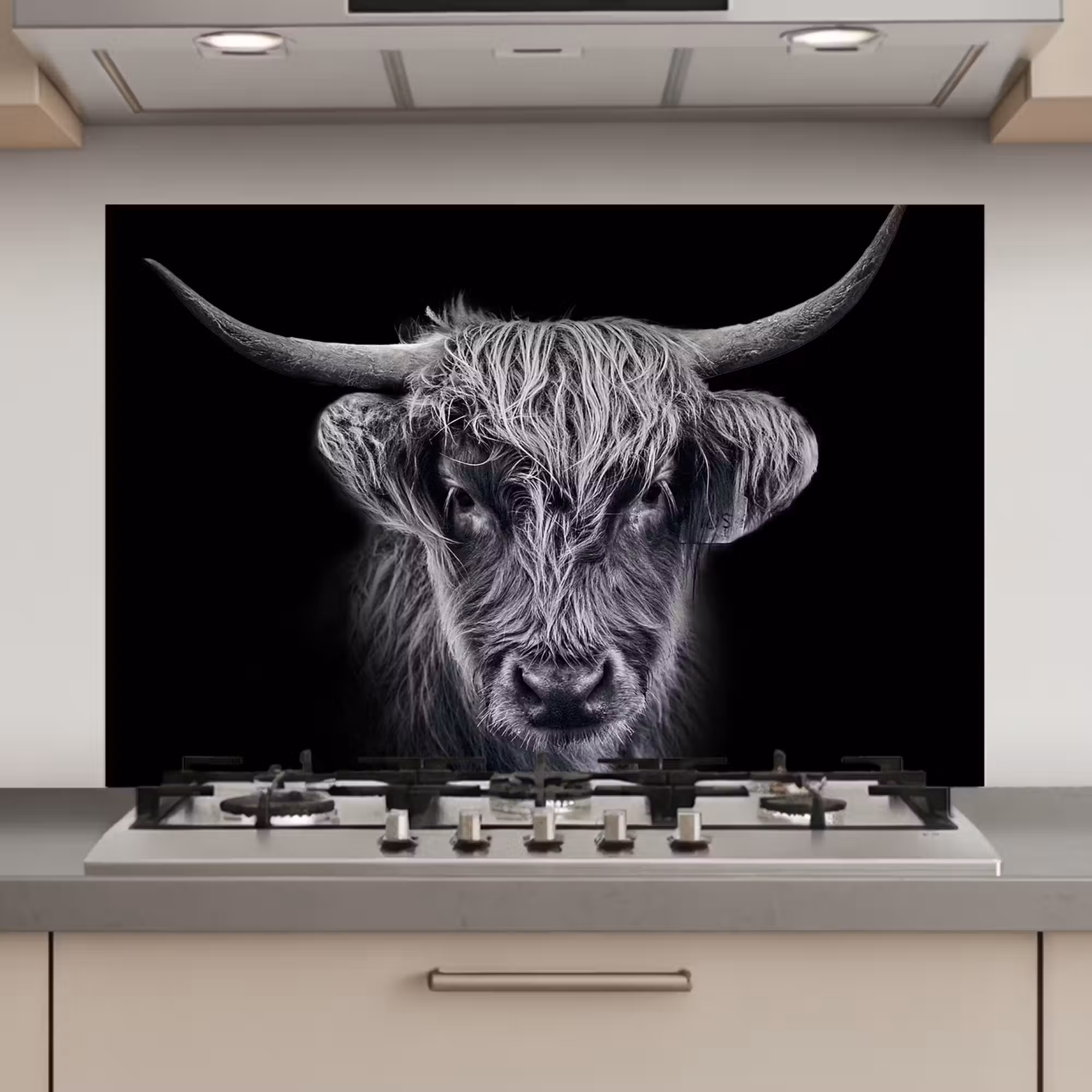Spatscherm keuken - Schotse hooglander - Zwart - Koe - Dieren