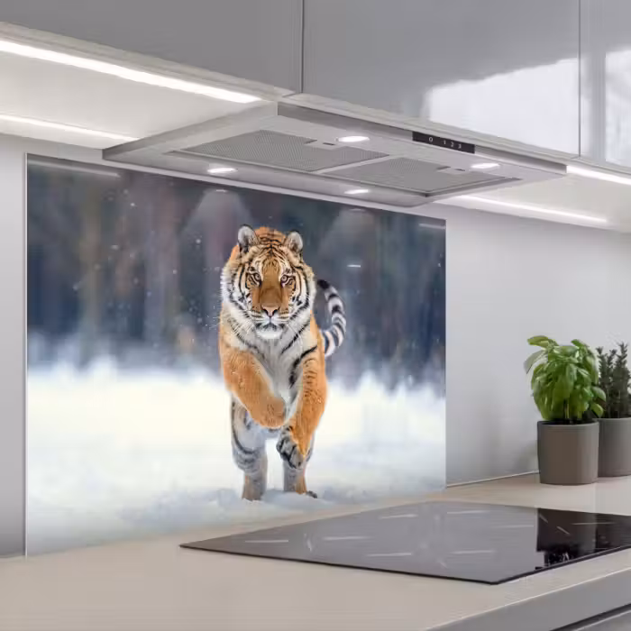 Spatscherm keuken - Tijger - Landschap - Sneeuw - Winter - Dieren