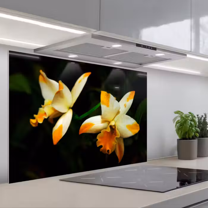 Spatscherm keuken - Twee orchideebloemen