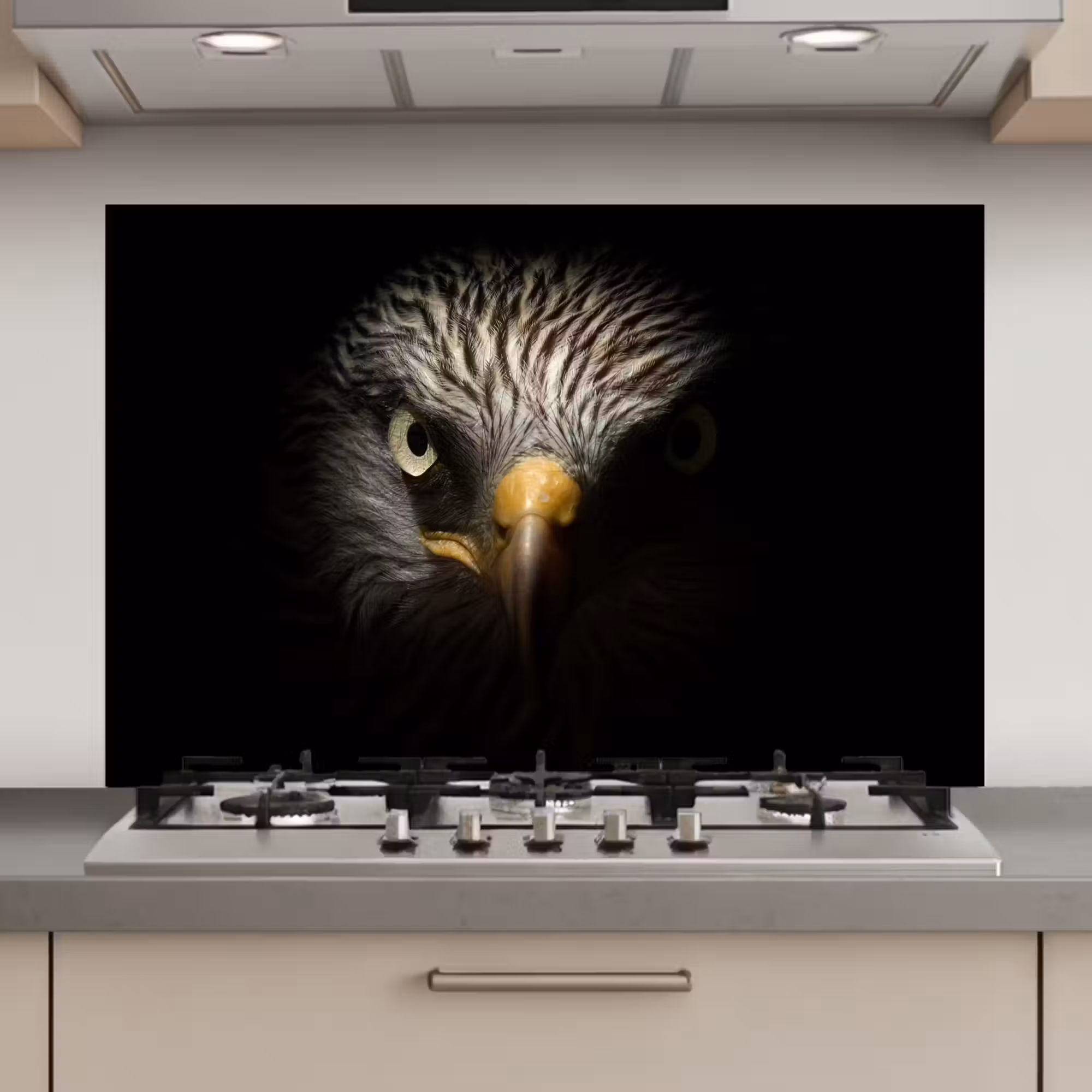 Spatscherm keuken - Vogel - Adelaar - Roofvogels - Oog - Snavel - Licht