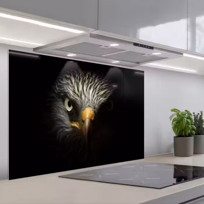 Spatscherm keuken - Vogel - Adelaar - Roofvogels - Oog - Snavel - Licht
