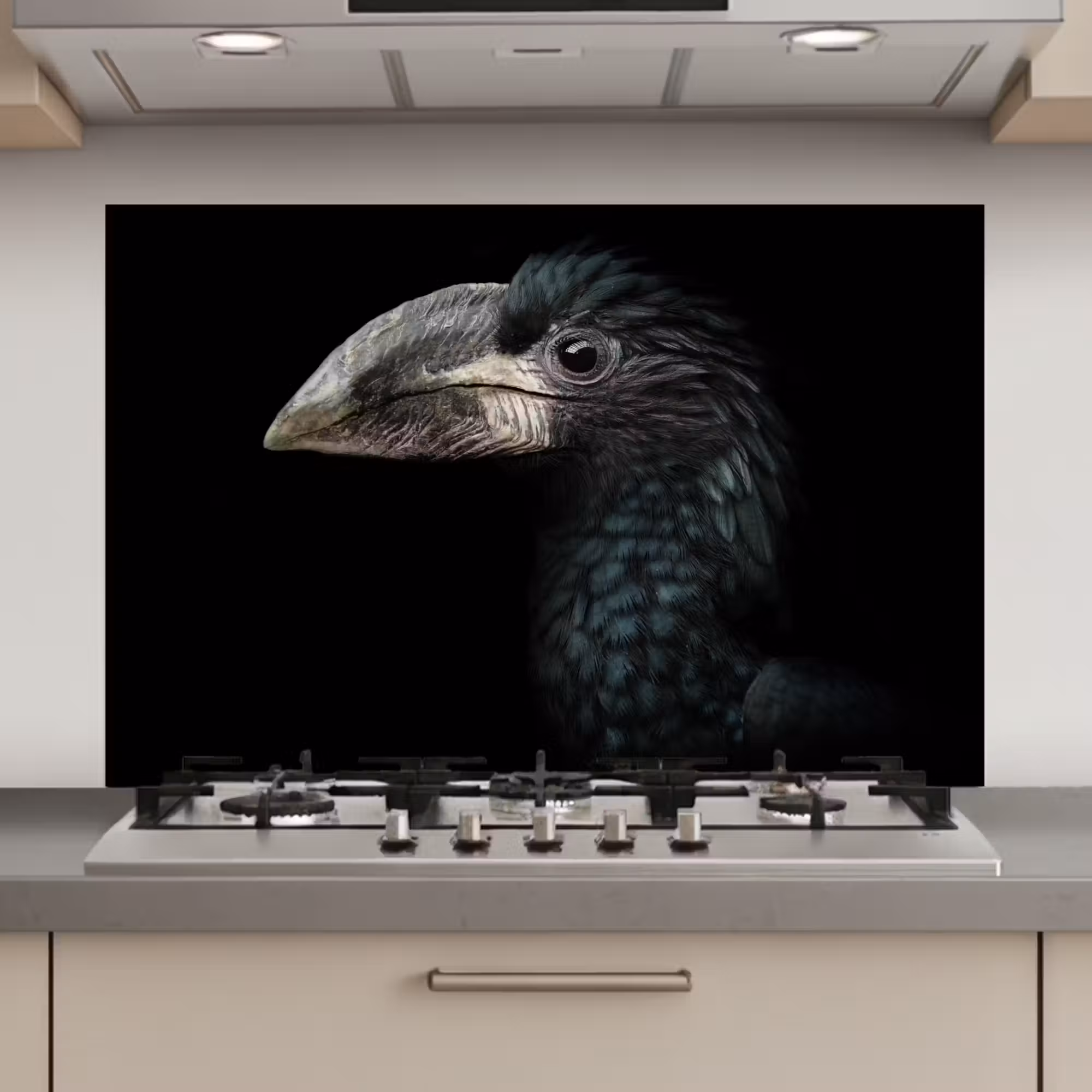 Spatscherm keuken - Vogel - Portret - Neushoornvogel - Zwart - Dieren