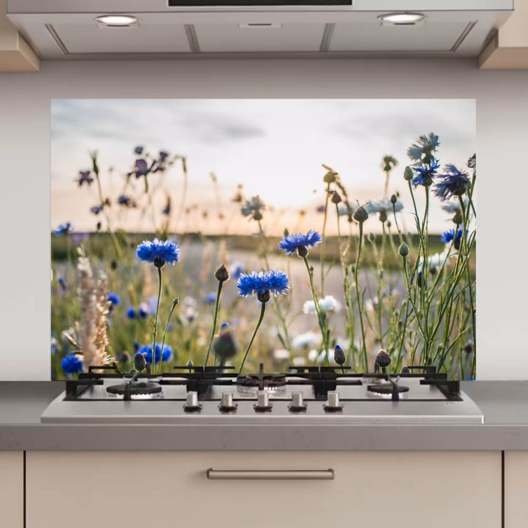 Spatscherm keuken - Zomeravond met Korenbloemen