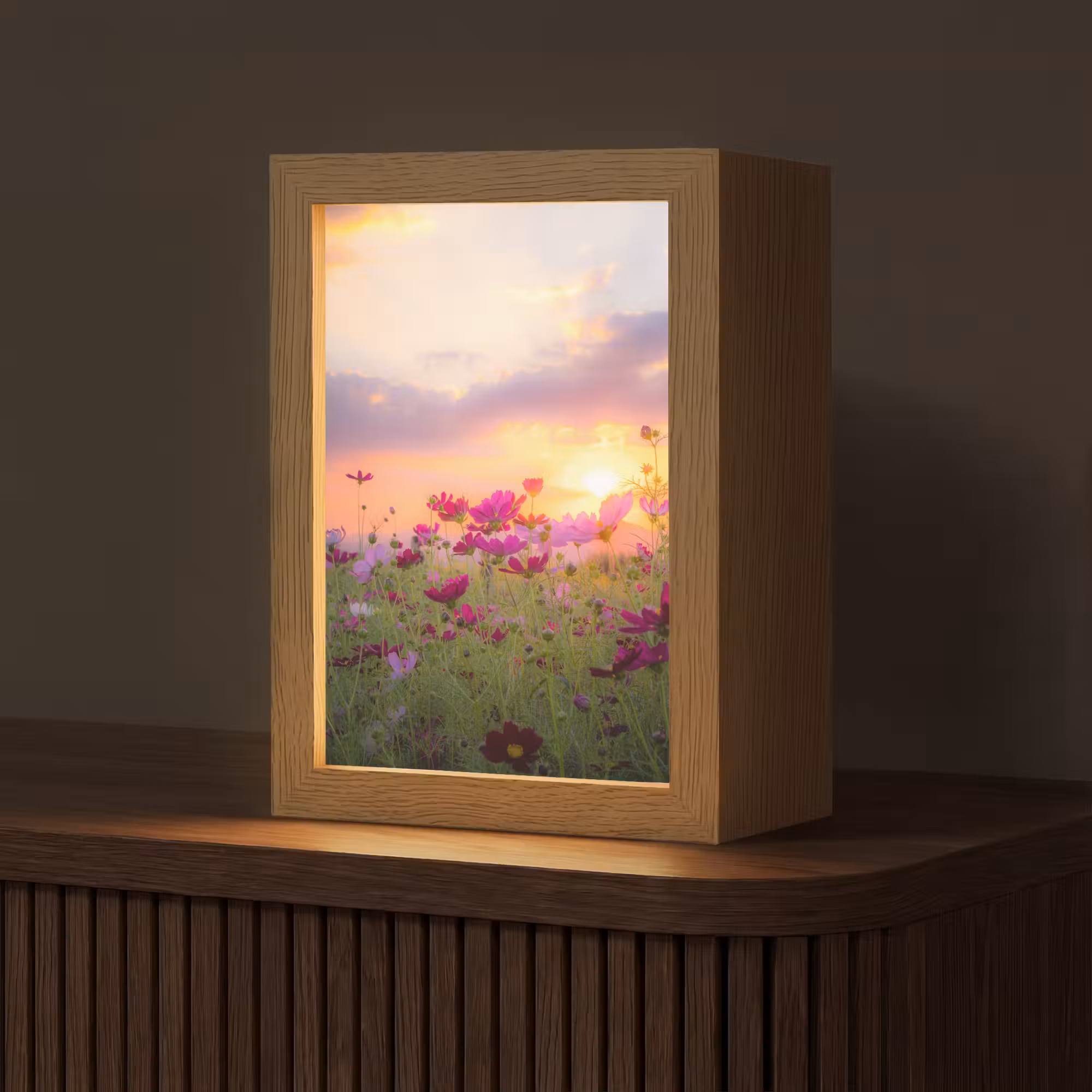 Tafellamp - Bloemen - Roze - Zonsondergang - Natuur - Weide - Horizon