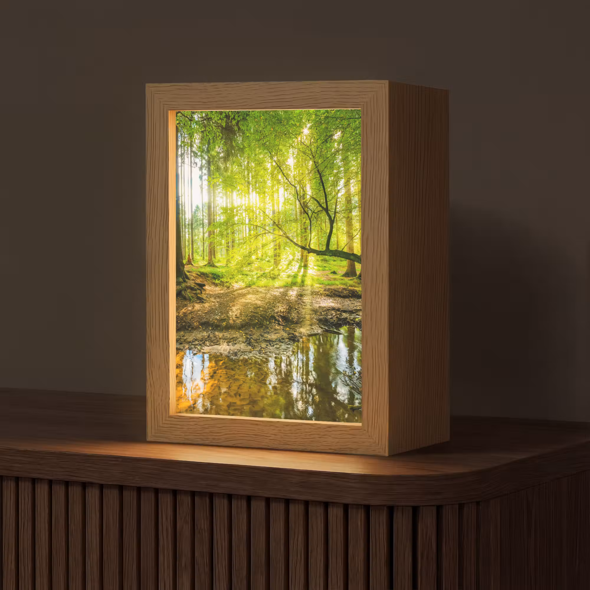Tafellamp - Bos - Landschap - Water - Bomen - Zon - Groen - Natuur