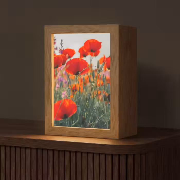 Tafellamp - Klaproos - Bloemen - Rood - Paars - Weide