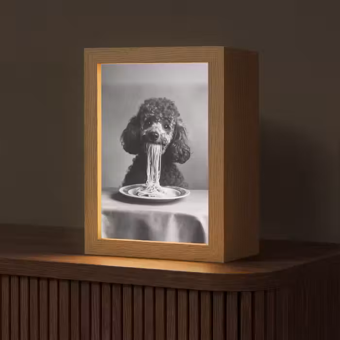 Tafellamp - Poedel - Hond - Zwart - Wit - Schattig - Pasta